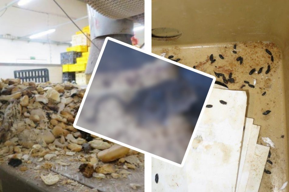 Inšpektori zatvorili obľúbenú pekáreň