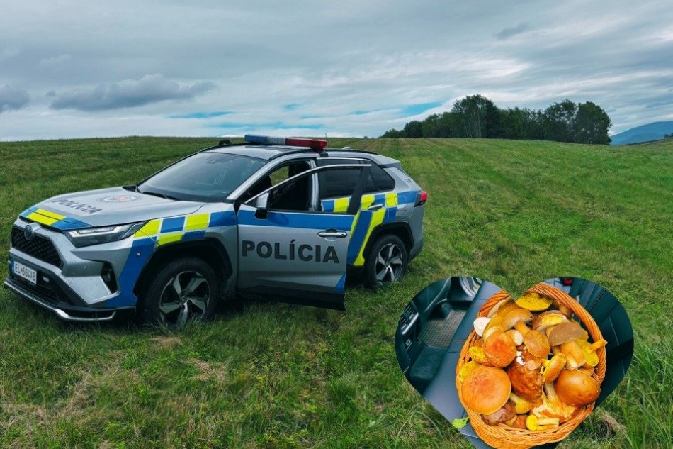 V OBRAZOCH: Úspešná záchrana hubára