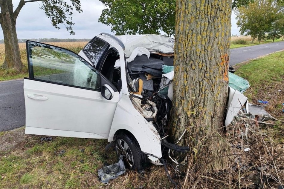 Tragický čelný náraz do stromu