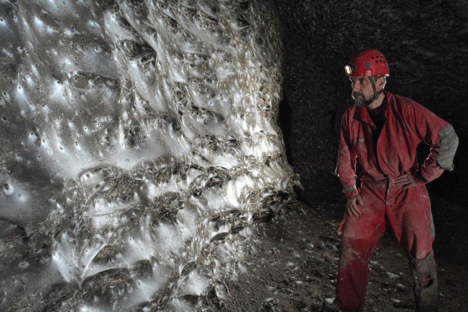 Objavili najväčšiu pavúčiu sieť na svete