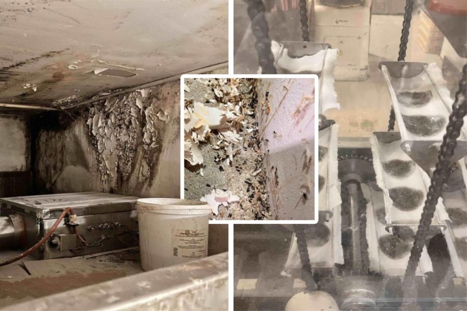 Českí inšpektori zatvorili pekáreň v Brne