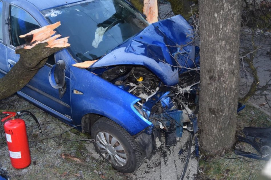 V OBRAZOCH: Vodička čelne narazila do stromu