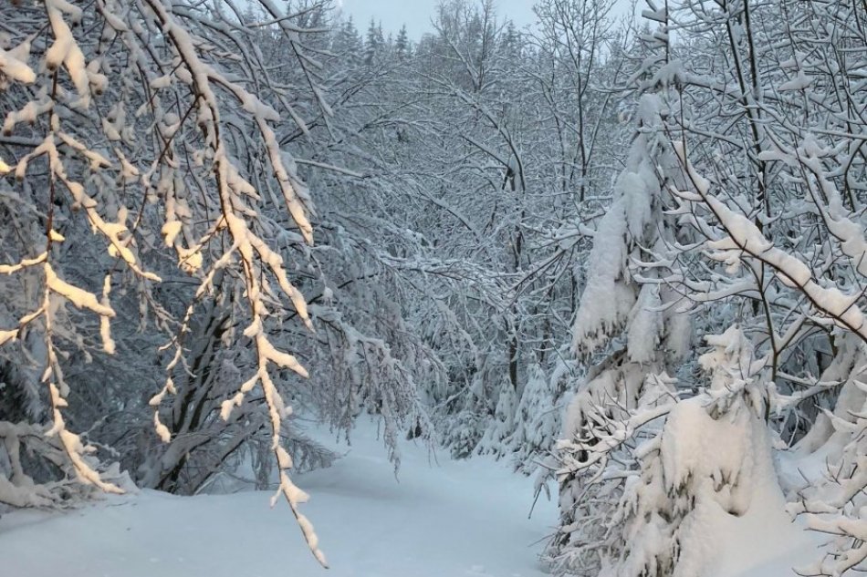 V OBRAZOCH: Úprava bežkárskych tratí v okolí Banskej Bystrice
