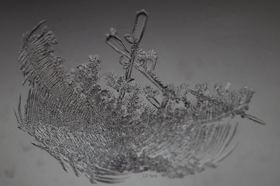 V OBRAZOCH: Lucia zachytáva námrazu a ľadové kryštáliky ako umenie