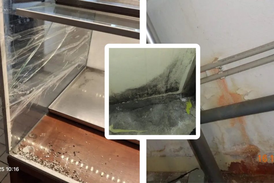 Výsledky decembrových kontrol