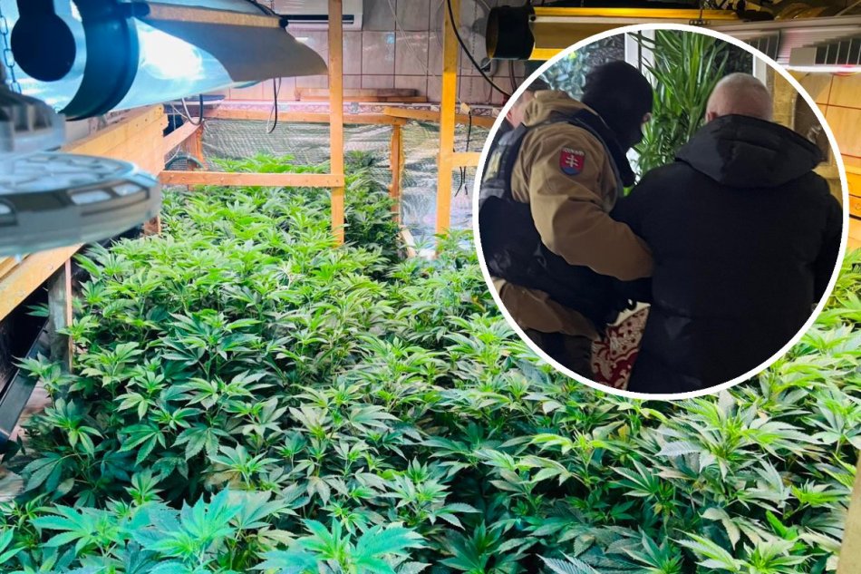 Protidrogová akcia s názvom "Kvetinár"