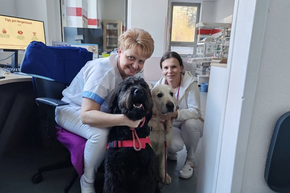 V OBRAZOCH: Canisterapia si vo zvolenskej nemocnici našla svoje pevné miesto