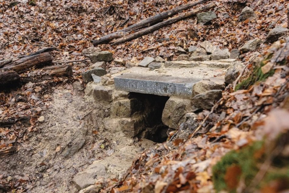 Mestské lesy obnovili ďalšie dve historické studničky