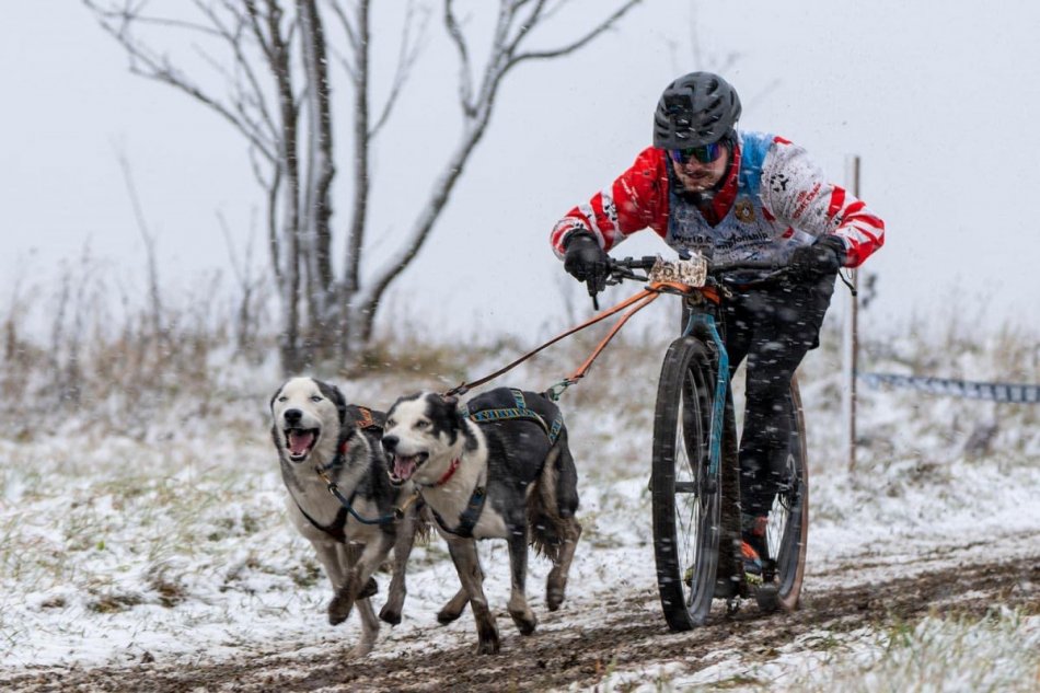 Patrik v psích záprahoch boduje na medzinárodnej scéne