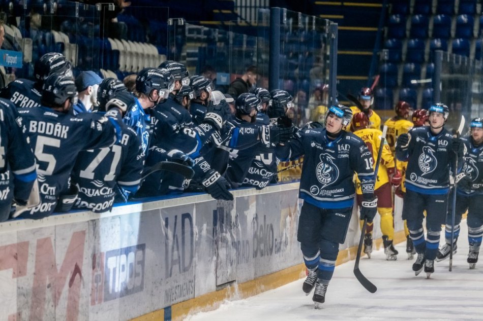 Buly vhadzoval pes, hokejový klub podporuje psíkov