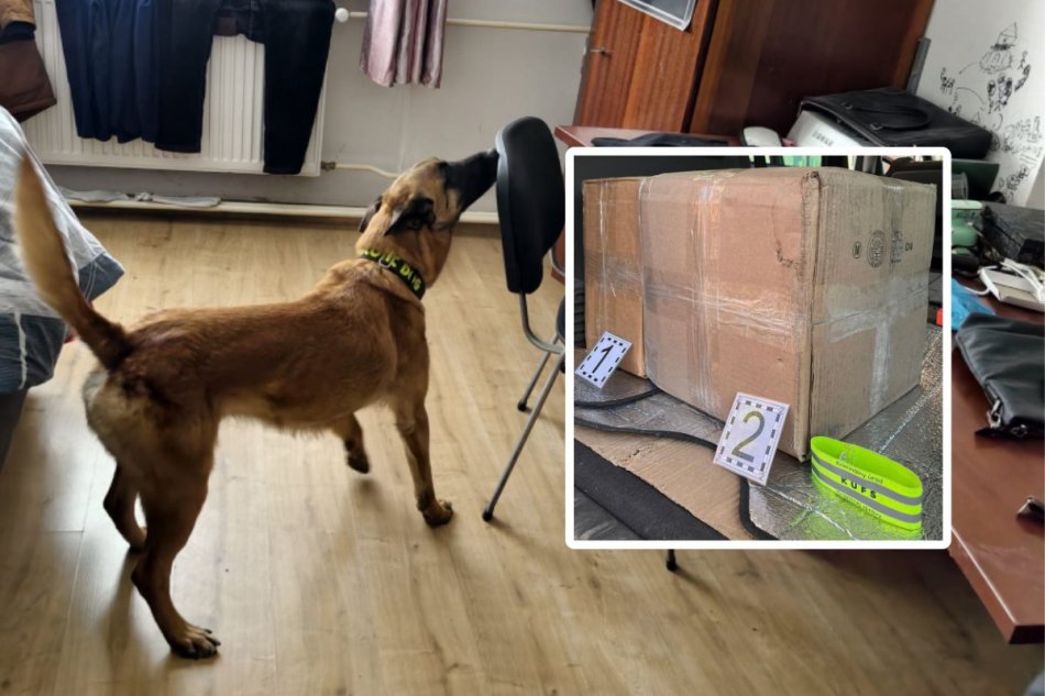 Záťah finančnej správy a polície na dílerov