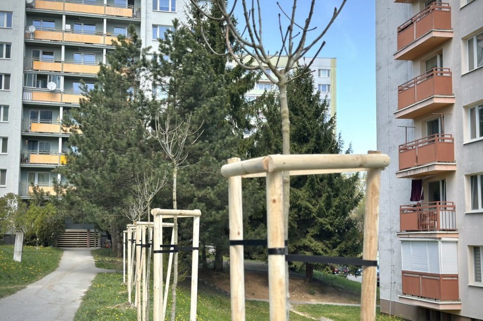 V OBRAZOCH: S výsadbou zelene pomohli aj študenti