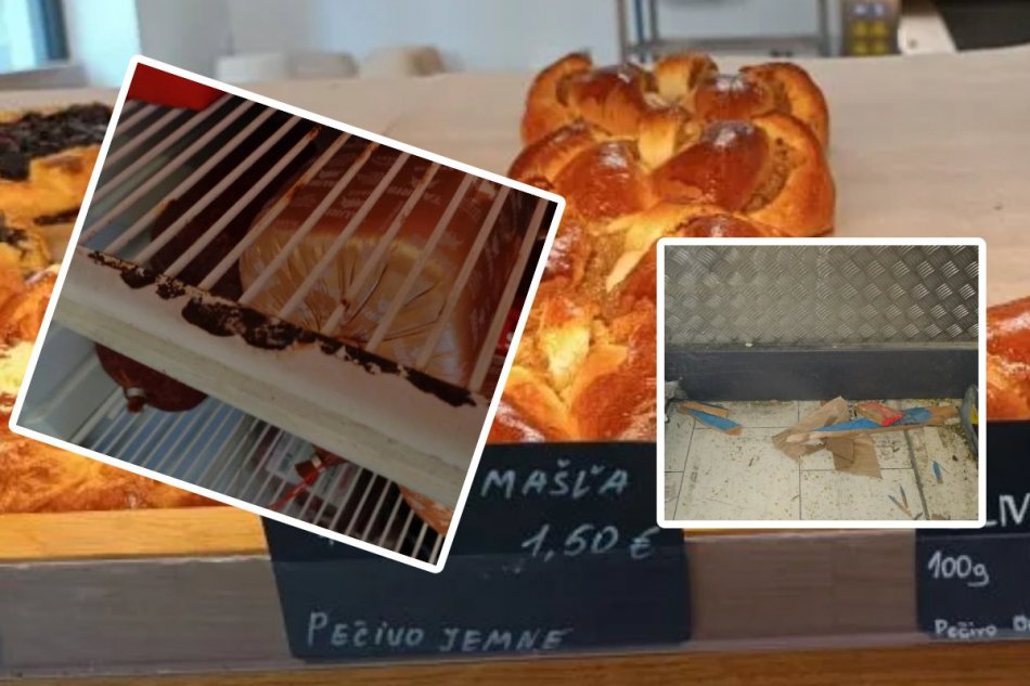 Čo odhalili augustové kontroly potravín?