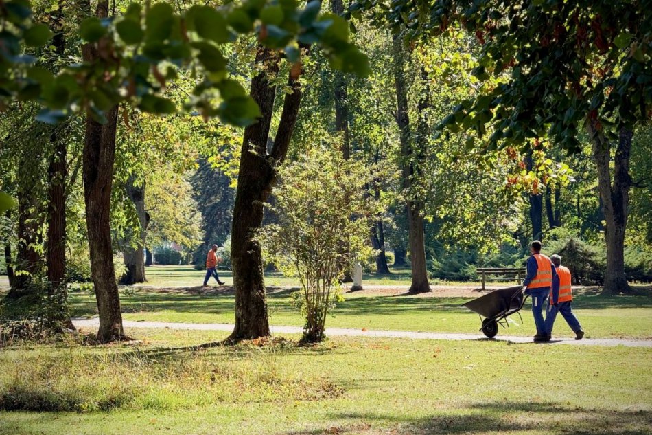 V OBRAZOCH: Kosenie v Mestskom parku