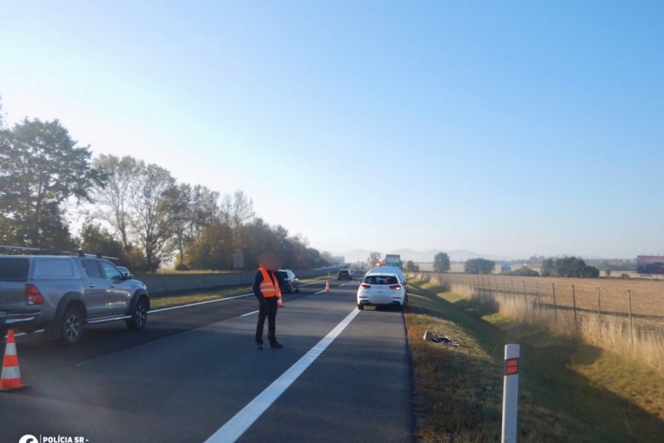 V OBRAZOCH: Vodiča zaskočila nečakaná prekážka na R1