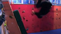 Pod Tatrami sa trénuje freerunning. Nebezpečne vyzerajúce prvky vyrážajú dych