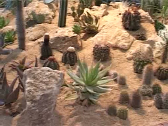 Výstavisko Agrokomplex ožilo