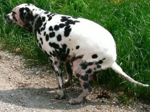 Problémy ľudí na sídliskách