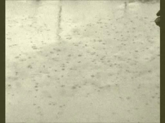 FHBL: V sobotu sa rozhodne o majstrovi sezóny 2009 