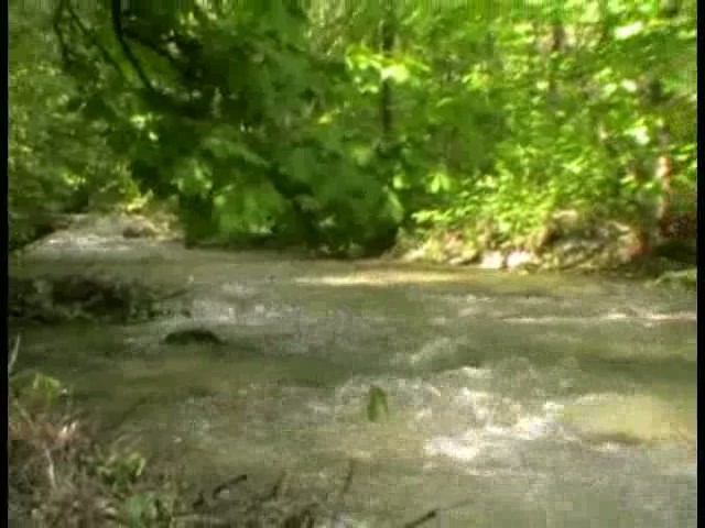 Na Fončorde vyzbierali 50 vriec odpadu