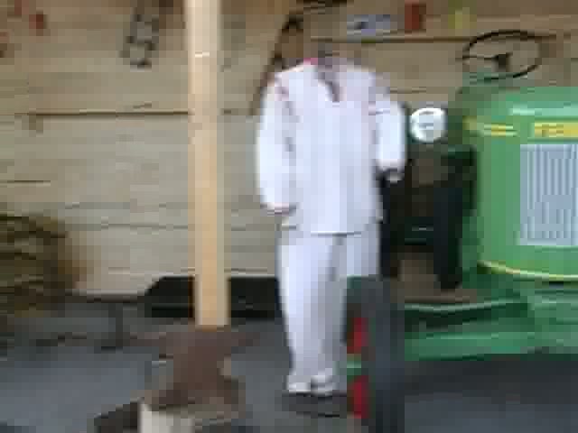 Zvieratá, stroje, ľudia