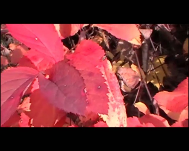 Jesenné lietanie s vetroňom