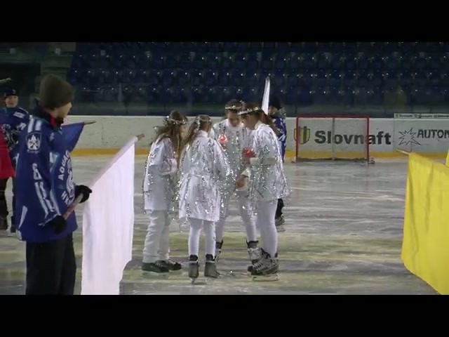 Hokejový turnaj deviatakov