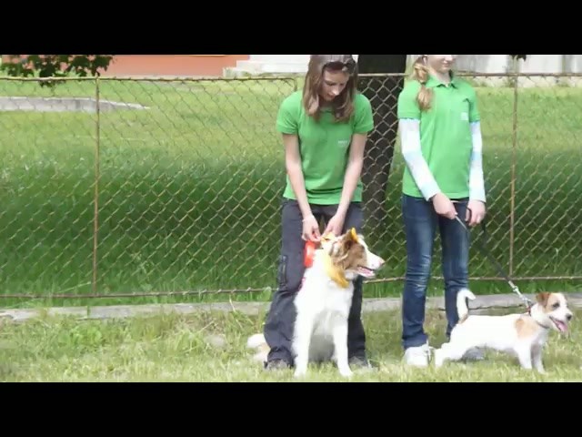 Ja a môj psík na mnoho spôsobov