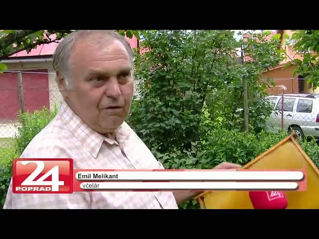 Čo robiť, keď sa v záhrade či v komíne usadia včely?