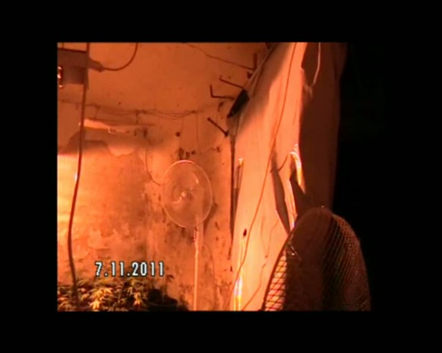 Domáce laboratórium s marihuanou