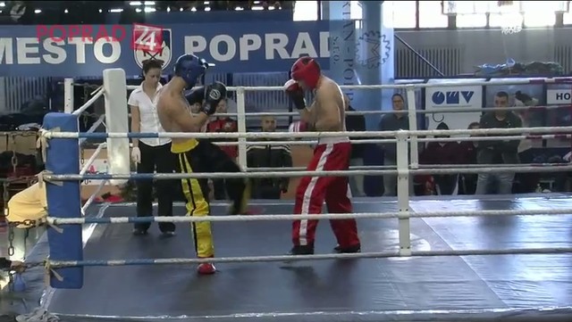Slovenský pohár v kickboxe