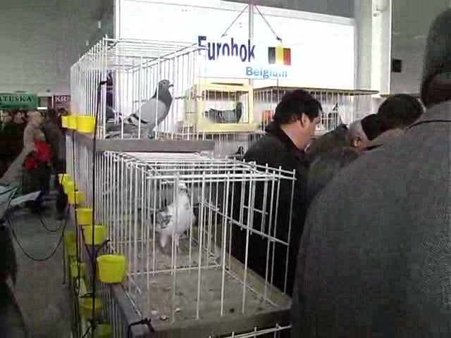 Odkaz vám prinesú letecky