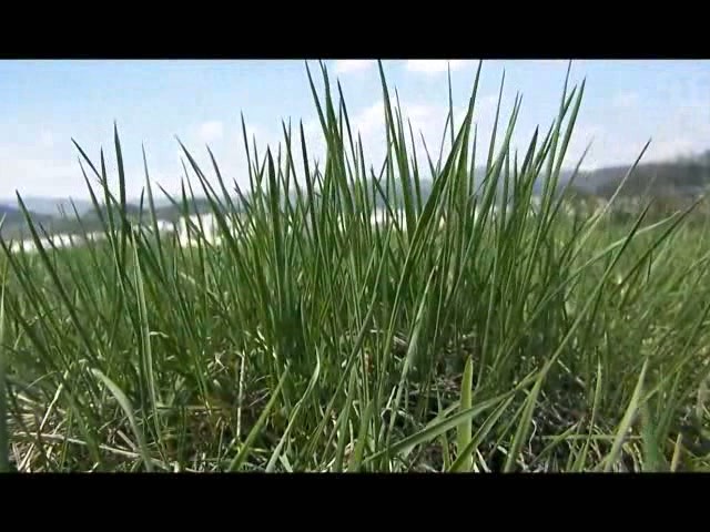 VIDEO: Na jar sa príroda prebúdza