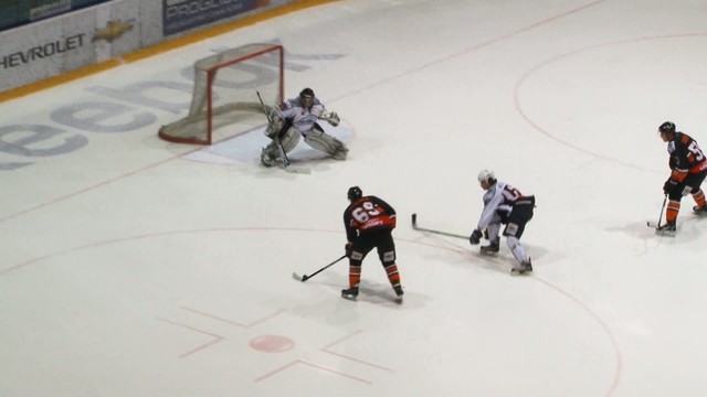 Gólová vlčo - levia prestrelka na Spiši