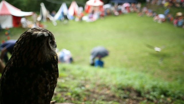 VIDEO: Šášovské hradné hry predčasne ukončil lejak
