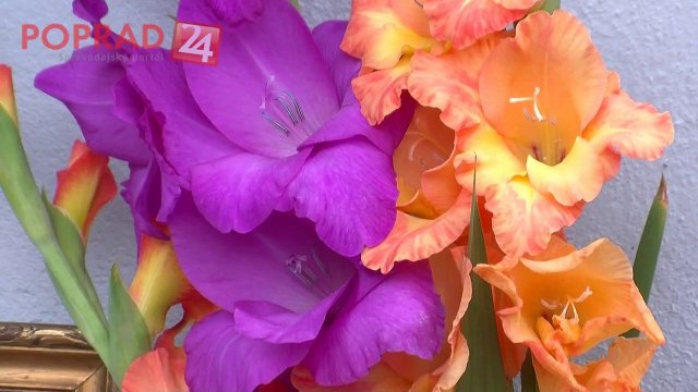 Bolestivá okupácia: Sestra Jozefa (†19) o jeho zastrelení 