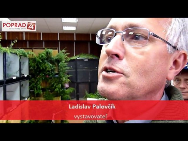 Nádherné operence sa dočasne usadili v múzeu