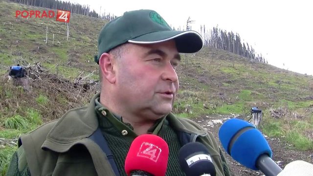 Lidl vytvoril slovenský rekord. Jeho zamestnanci vysadili v Tatrách 5200 stromov