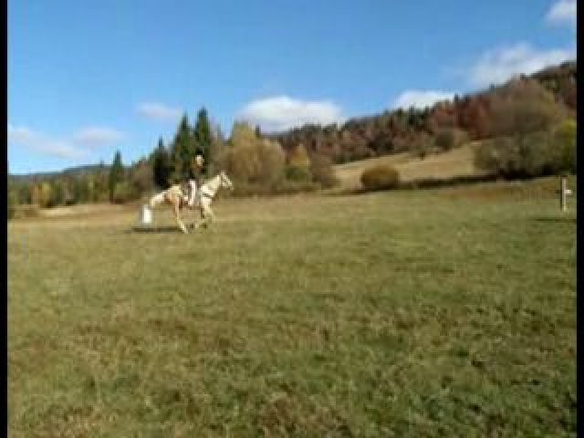 V malebnom prostredí predúrali stádo oviec