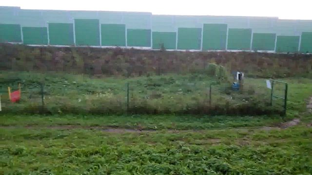 Výbeh pre psov? Podľa čitateľky prales!