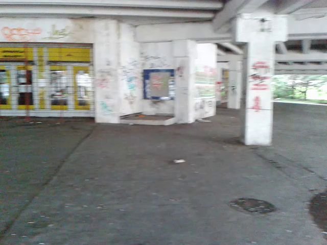 Bývaké Teco na Fončorde púta pozornosť